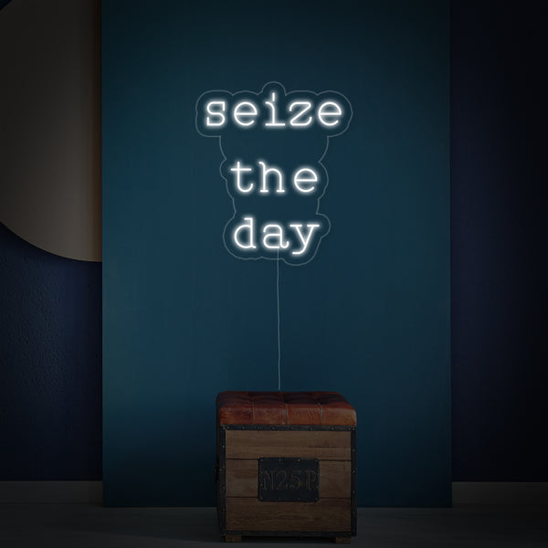 Seize The Day Neon Sign